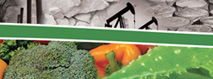 The shocking truth about food